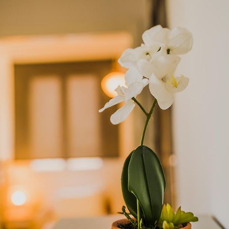 Green Apartment Ground Floor Feel Like Home Properties Saronida Екстериор снимка