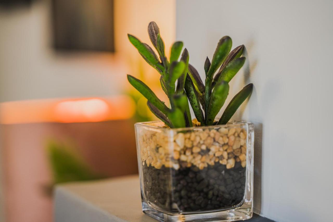 Green Apartment Ground Floor Feel Like Home Properties Saronida Екстериор снимка